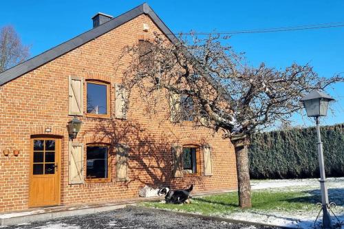 L'Hirondeau de Tenneville gîte à louer Baconfoy