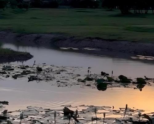 المنطقة المحيطة, Serene, luxury golf resort in أكرا