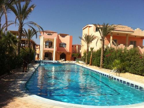 Swimming pool, Villa Dina in Sharm El Sheikh