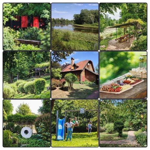Rajski vrt - Lake house - Paradise garden - Accommodation - Sisak