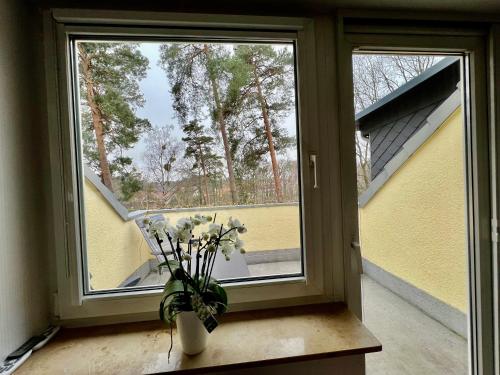 Ferienwohnung im Heidepark in 德紹-羅斯勞