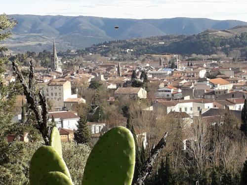 La Maison de Chouquette - Location saisonnière - Limoux