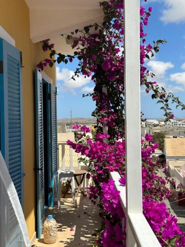Balkon/Terrasse, B&B Mi Ma Bo, Sal Rei, Boa Vista, Cape Verde, FREE WI-FI in Sal Rei