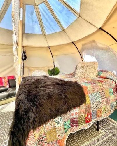 The Pisces-a stargazing, luxury glamping tent in Rogersville (AL)