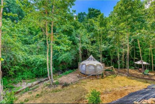 The Pisces-a stargazing, luxury glamping tent in Rogersville (AL)