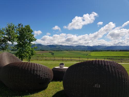 Tenuta Le Tre Virtù - image 2