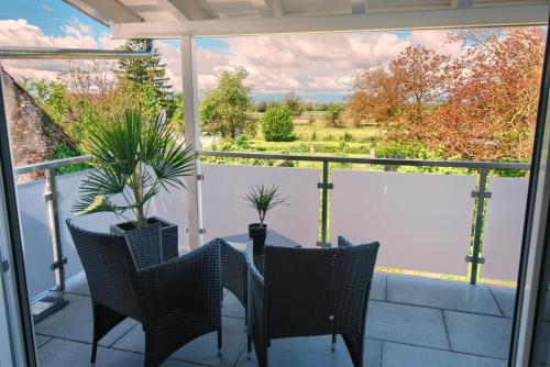 Ferienwohnungen im Palmengarten - 70 qm in Heitersheim