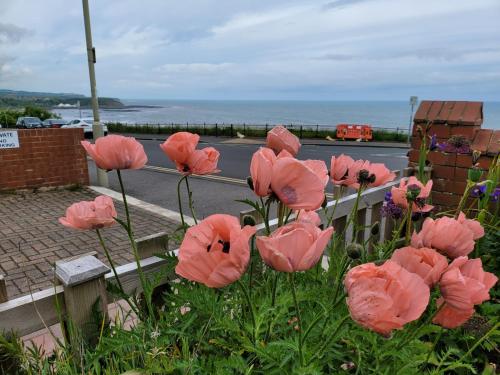 Picture of Sea Side Flat 5 With Fast Wifi And Free Parking