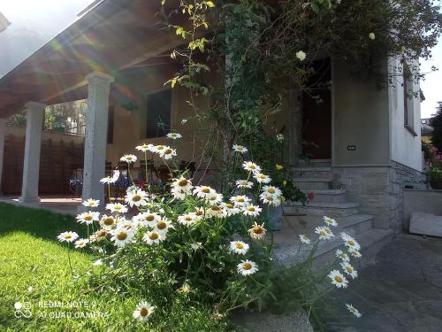 Apartment with Garden View