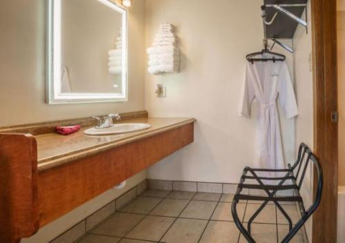 Shady Acre Inn and Suites - 화장실