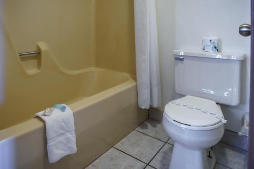 Shady Acre Inn and Suites - 샤워실