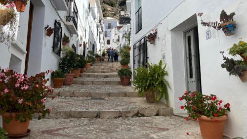 Casa Casco Historico