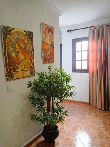 Hostal Buena Vista - image 3