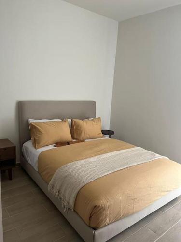 Departamento Tipo Loft, zona ajijic.