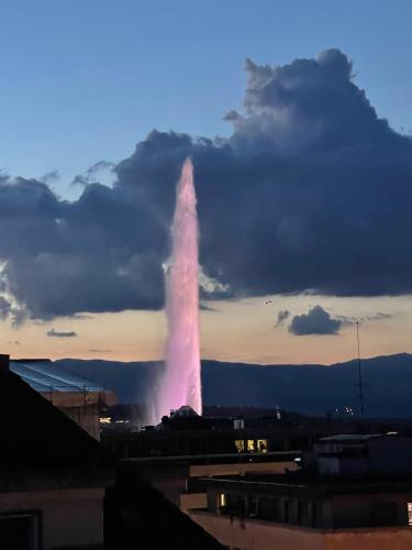 WowAppartements vue sur le jet d'eau in Eaux-Vives