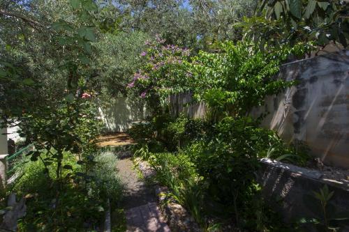 Apartments with parking space Makarska - 20626 - image 4