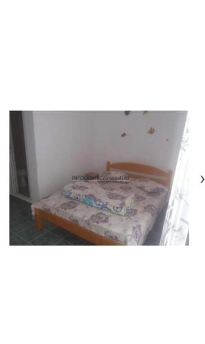 Casa la bunica