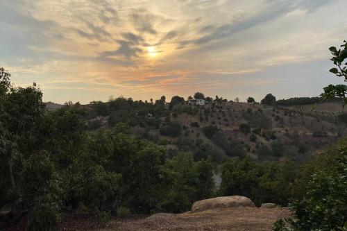 High on the Hill Serene View Home on Avocado Grove