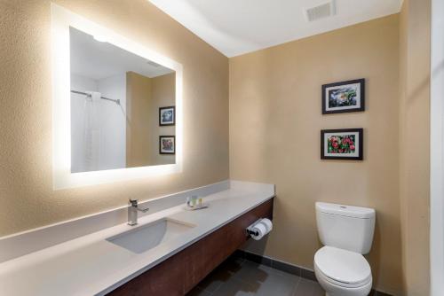Comfort Suites Locust Grove Atlanta South - image 6