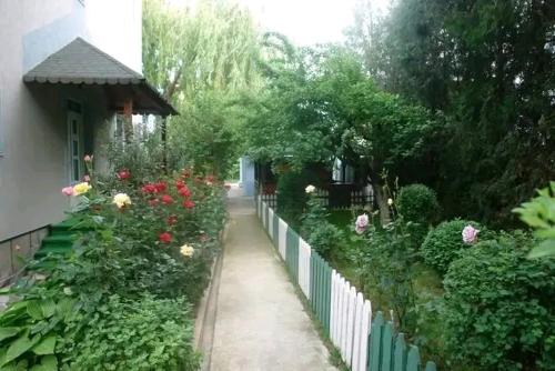 Vila - Creta photo