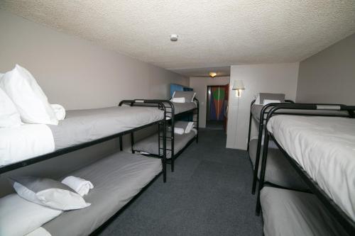 Motel 6 - Las Vegas NV - Downtown Fremont St Experience - image 11