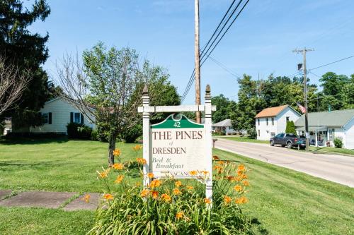 The Pines of Dresden - image 2