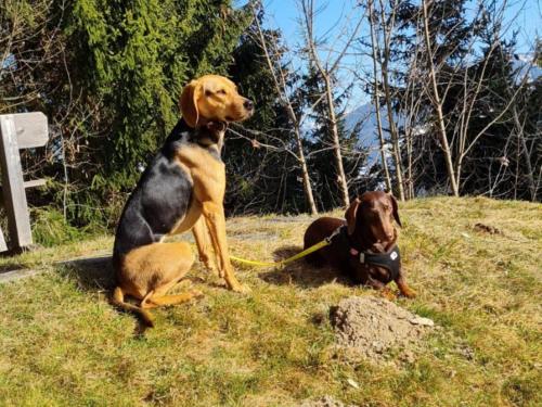 Holiday house, Flachau