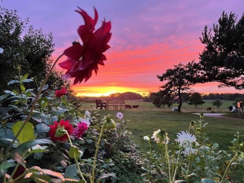 Facilities, Holiday Apartment In Peaceful Surroundings in Snogebaek