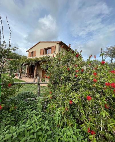 Agriturismo Il Sorbo Appartamento Lavanda