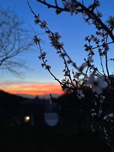 Agriturismo Il Sorbo Appartamento Lavanda