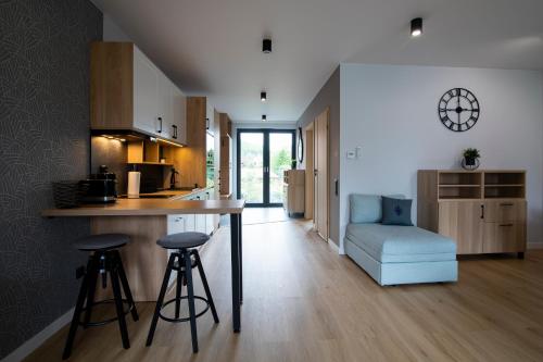 One-Bedroom Apartment image 6