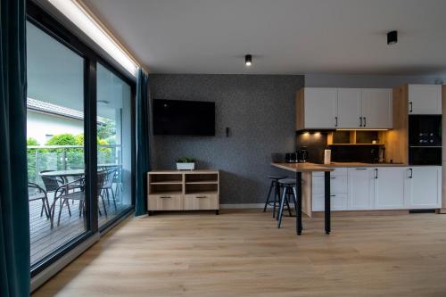 One-Bedroom Apartment image 7