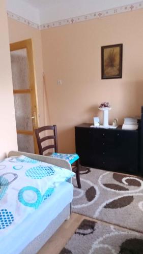 Holiday home Abadszalok/Theiss-See 27793