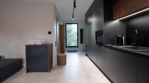 One-Bedroom Apartment image 4