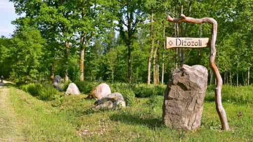 Dižozoli (Dizozoli) in 利耶帕亞