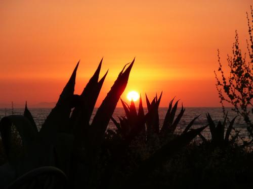 St.George's Bay Country Club & Spa - image 7