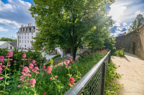 Cerise Nantes Atlantis - image 5