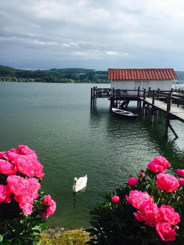 Hotel Sommerhaus Garni am See