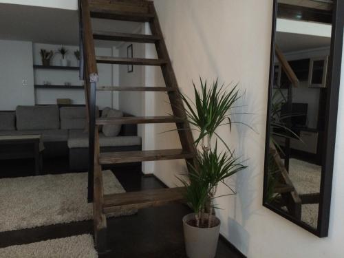 Central King Apartment, Budapešť (fotografie 9)