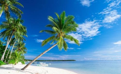 L&A Homestay in Siargao L&A Homestay in Siargao