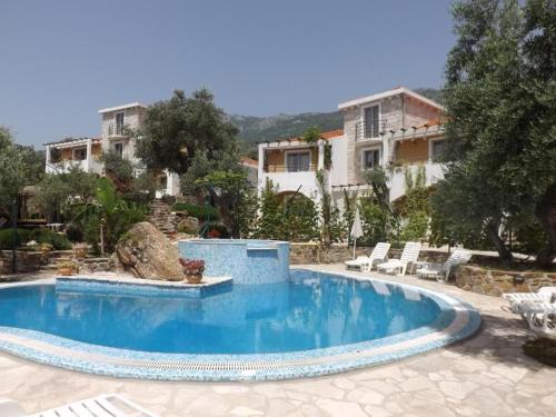 Olive trees
