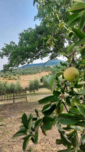 Agriturismo il Cantiniere