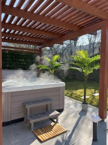 Sinalospa - Culiacàn - Appartement Jardin Jacuzzi Sauna à 5 minutes de Nancy Place Stanislas - Location saisonnière - Champigneulles