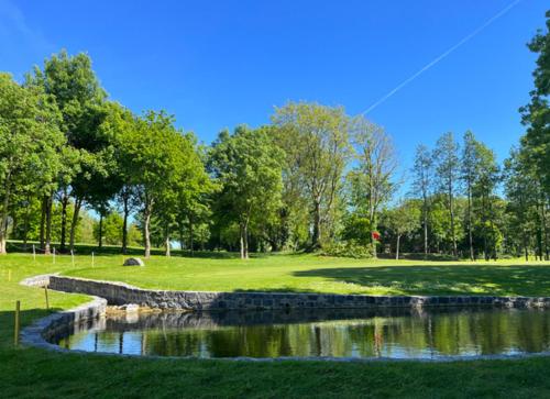 The Abbeyleix Manor Hotel