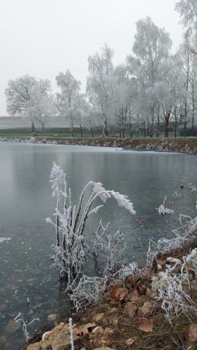 Le Moulin de l'Etang