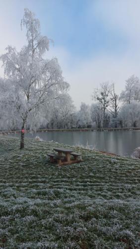 Le Moulin de l'Etang