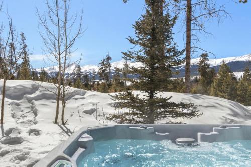 Modern Alpine Escape in Baldy Mountain