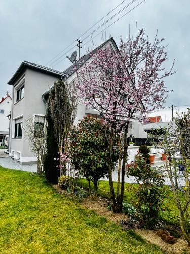 Guesthouse David, Augsburg (foto 6)