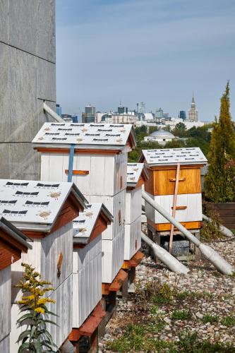 華沙麗晶酒店 Regent Warsaw Hotel