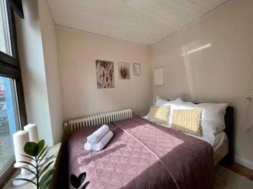 Gemütliches Apartment im Viertel mit Flair - Zentral, Bremen (foto 6)